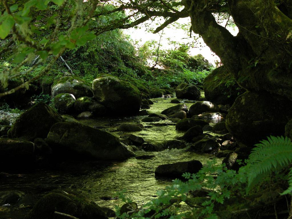 Casa Rural La Riba Sames Bagian luar foto